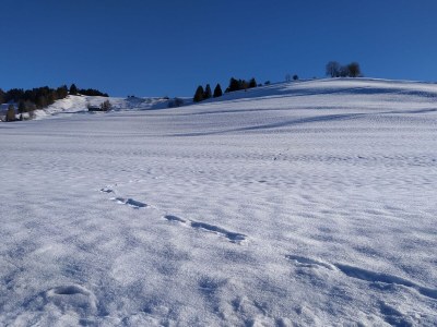 Apartment Ediths Nest - Outdoor photo 32