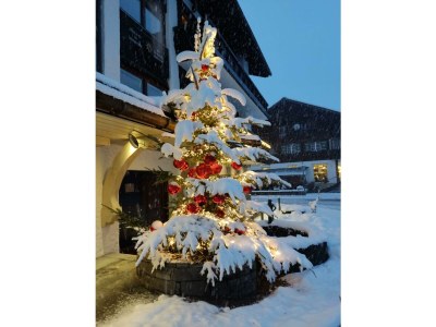 Apartment Ediths Nest - Outdoor photo 41