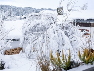 Apartment Alpen-Art Chalet - Outdoor photo 16