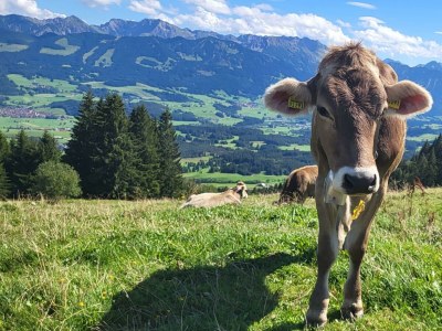 Apartment Allgäuliebe - Outdoor photo 19