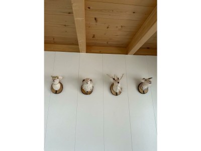 Holiday room Leihwohnwagen Deluxe - Features photo 41