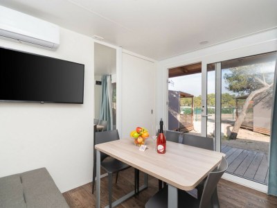 Mobile home Resort Luxury Mobile Home (6+1) - Features photo 10