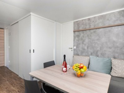 Mobile home Resort Luxury Mobile Home (6+1) - Features photo 11