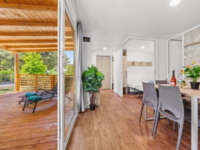 Mobile home Resort Luxury Mobile Home (6+1) - Features photo 20