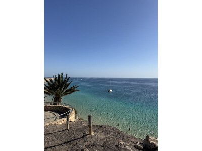 Holiday apartment Apartamento Tortuguero - Environment photo 17