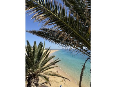 Holiday apartment Apartamento Tortuguero - Environment photo 18