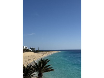 Holiday apartment Apartamento Tortuguero - Environment photo 19