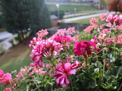 Apartment Appartement Lavendel - Outdoor photo 24