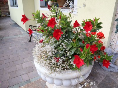 Apartment Appartement Lavendel - Outdoor photo 26