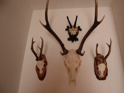 Apartment Appartement Lavendel - Outdoor photo 40