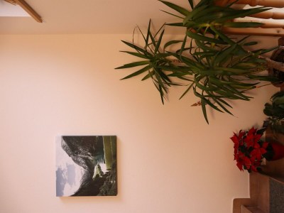 Apartment Appartement Lavendel - Outdoor photo 45