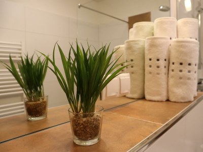 Apartment Appartement Lavendel - Features photo 95