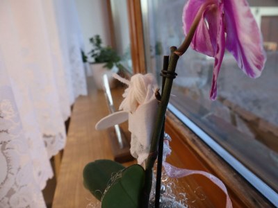 Apartment Appartement Lavendel - Features photo 120