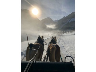 Apartment Ferienhaus/3 Schlafräume/ Dusche, WC - Outdoor photo 6