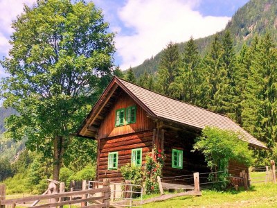 Apartment Ferienhaus/3 Schlafräume/ Dusche, WC - Features photo 13