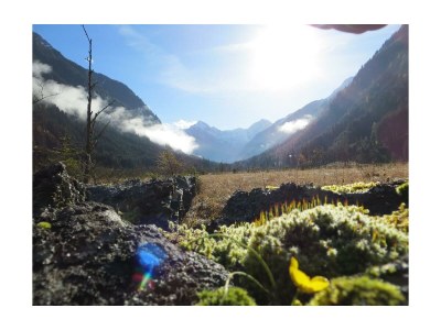 Apartment Ferienhaus/3 Schlafräume/ Dusche, WC - Features photo 18