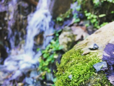 Apartment Ferienhaus/3 Schlafräume/ Dusche, WC - Features photo 19