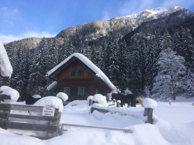 Apartment Ferienhaus/3 Schlafräume/ Dusche, WC - Features photo 23