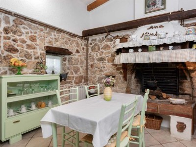 Holiday house Haus Salakova a lovely vintage stone house - Features photo 7