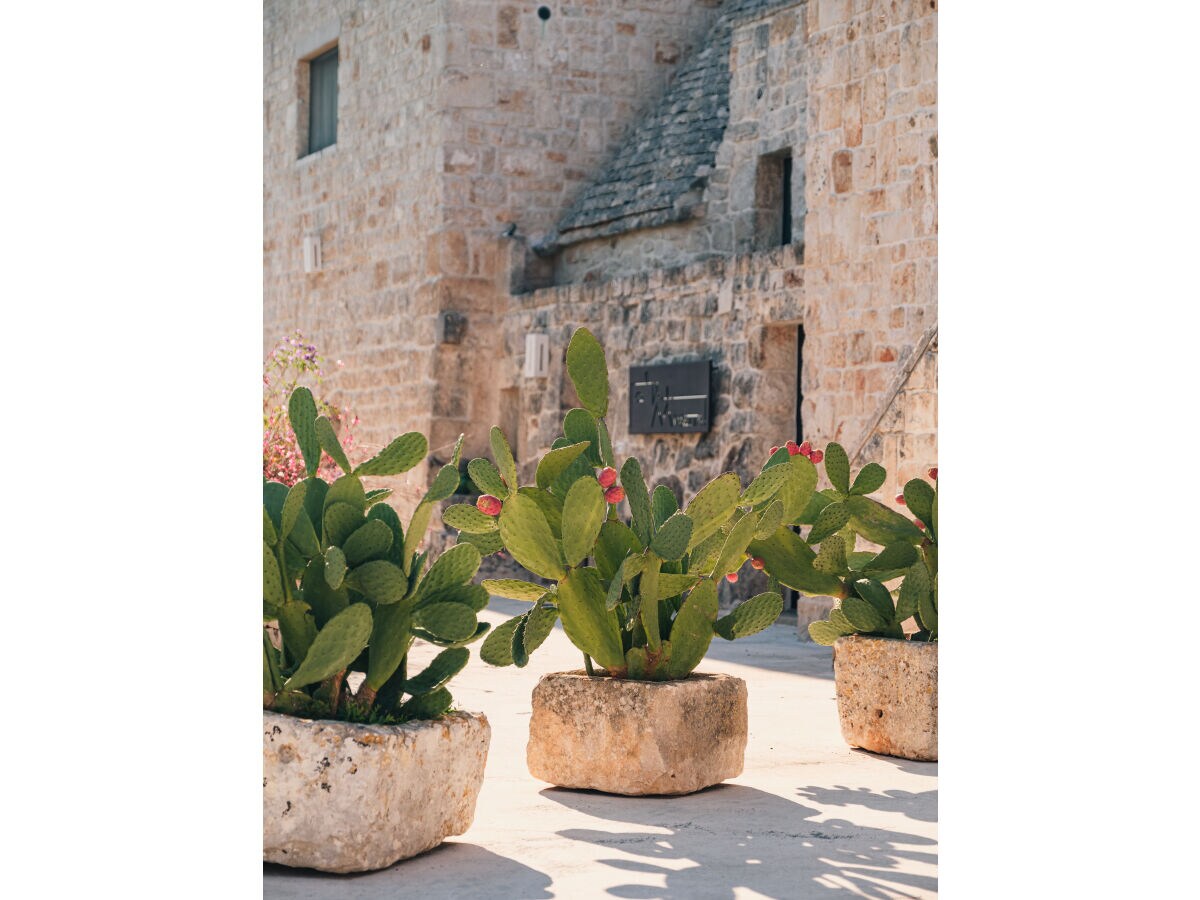 Villa Masseria Minetta - Outdoor photo 4