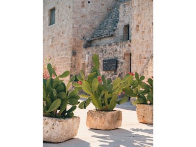 Villa Masseria Minetta - Outdoor photo 4