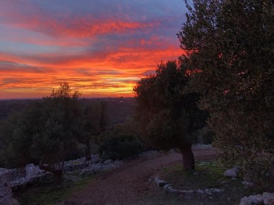 Villa Masseria Minetta - Outdoor photo 11