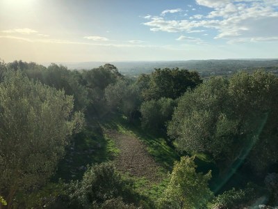Villa Masseria Minetta - Outdoor photo 12