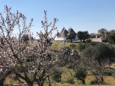Villa Masseria Minetta - Environment photo 24