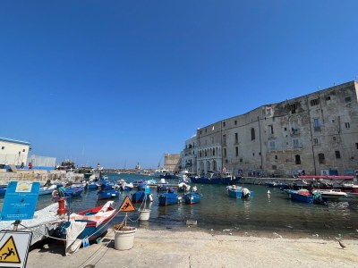 Villa Masseria Minetta - Environment photo 30