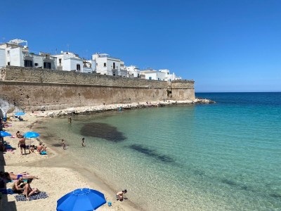 Villa Masseria Minetta - Environment photo 33