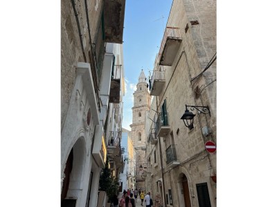 Villa Masseria Minetta - Environment photo 37