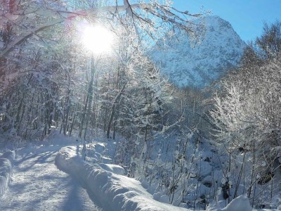 Holiday room Doppelzimmer Nr. 11 mit  Balkon - Outdoor photo 16
