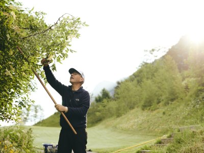 Apartment Valbona - Outdoor photo 40