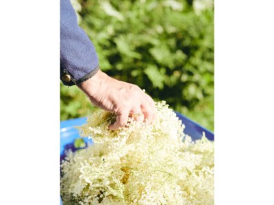 Apartment Valbona - Outdoor photo 41