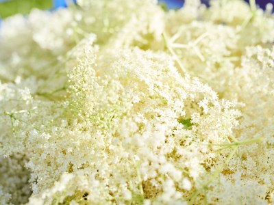 Apartment Valbona - Outdoor photo 42