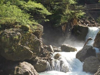 Apartment Appartement/Fewo, Dusche, WC, 2 Schlafräume - Outdoor photo 14