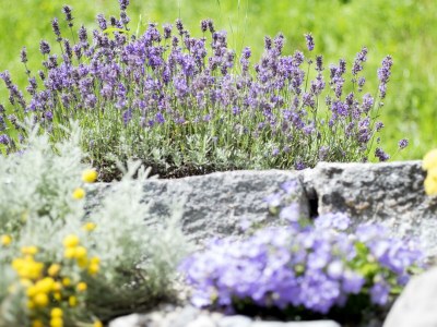 Apartment s' Familäre - Outdoor photo 11