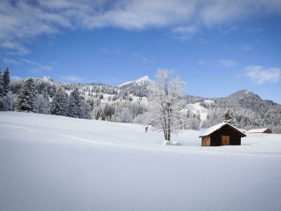 Apartment Ferienwohnung - Outdoor photo 11