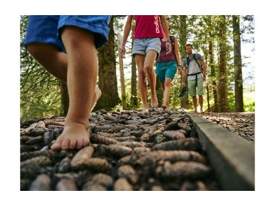 Apartment Älmele Waldchalet - Outdoor photo 24