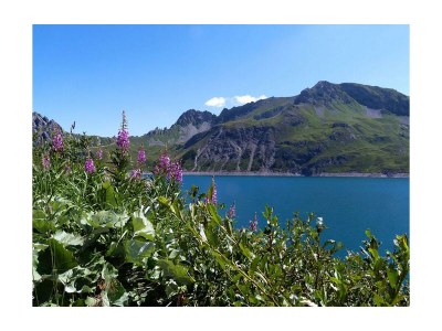 Apartment Älmele Waldchalet - Outdoor photo 34