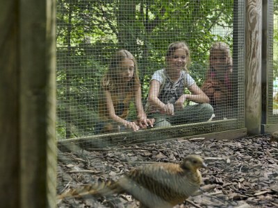 Apartment Bergglück - Outdoor photo 10