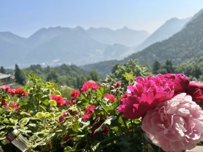 Apartment Apartment mit Balkon und Bergsicht - Outdoor photo 20