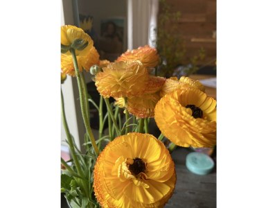 Apartment Apartment mit Balkon und Bergsicht - Outdoor photo 41