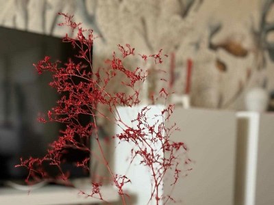 Apartment Apartment Abrega with sea view - Environment photo 40