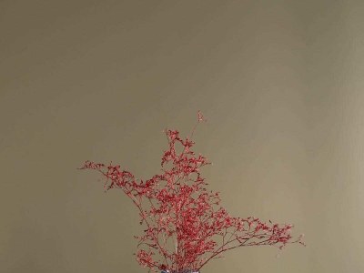 Apartment Apartment Abrega with sea view - Environment photo 41