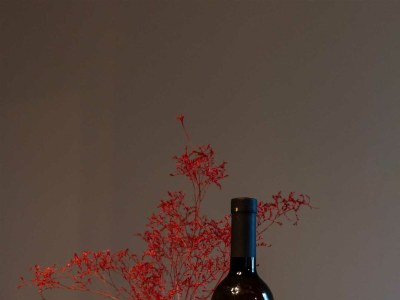 Apartment Apartment Abrega with sea view - Environment photo 110