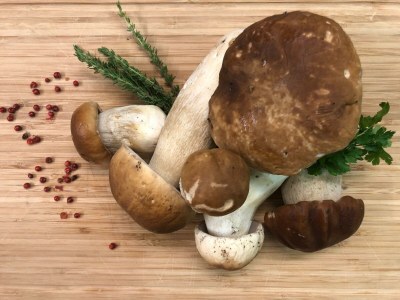 Apartment Ferienwohnung Wiesenheim`s LIEBLINGSPLATZ - Outdoor photo 64