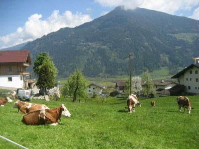 Apartment Appartement LANDleben - Outdoor photo 10