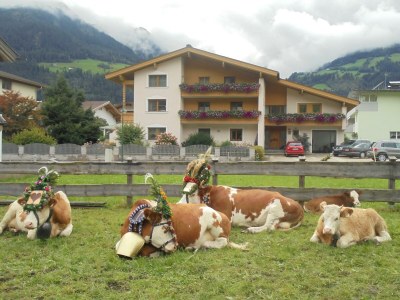 Apartment Modern Alp Apart - Outdoor photo 19