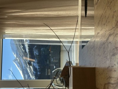 Apartment Modern Alp Apart - Features photo 45